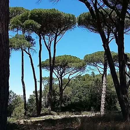 Holiday home Les Maisons De La Plage *